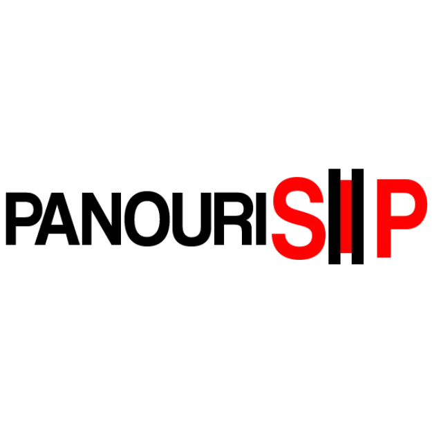 Logo PanSIP Bistrita Portofoliu 12Digital.ro